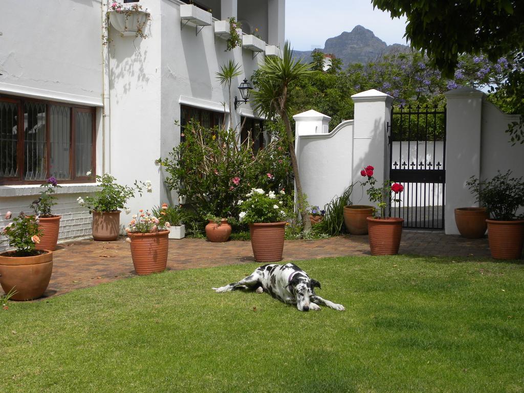 Applegarth B&B And Self-Catering Studios Cape Town Exterior photo